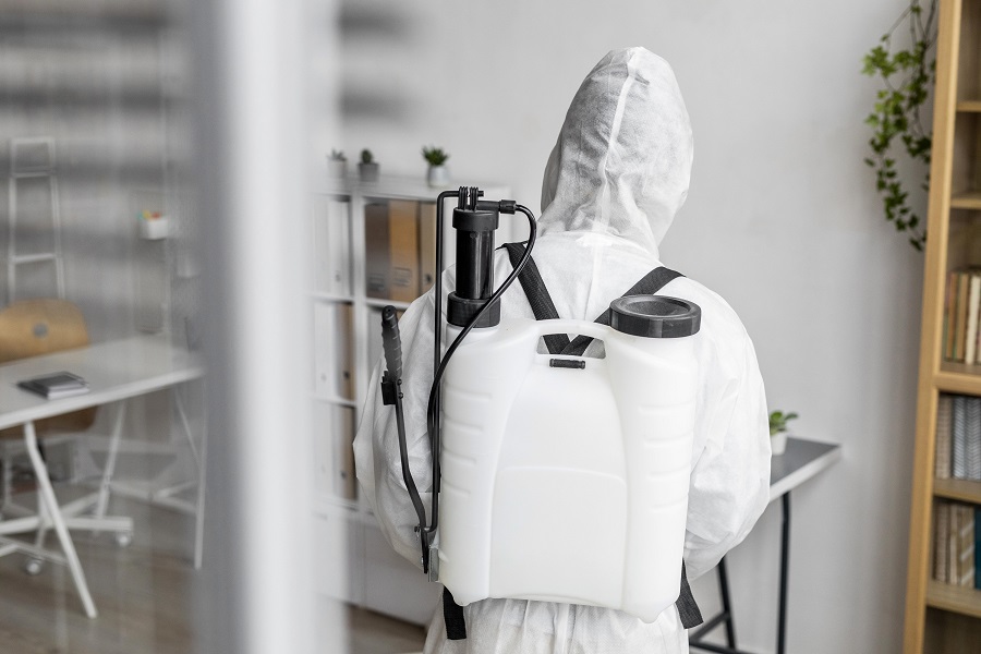 Detailed Hawx Pest Control Reviews: From First Call to Final Visit